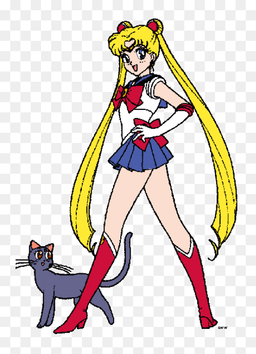 Sailor Moon | Sailor Moon Fanon Wik