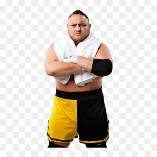 Download Samoa Joe Us Champion - Fu