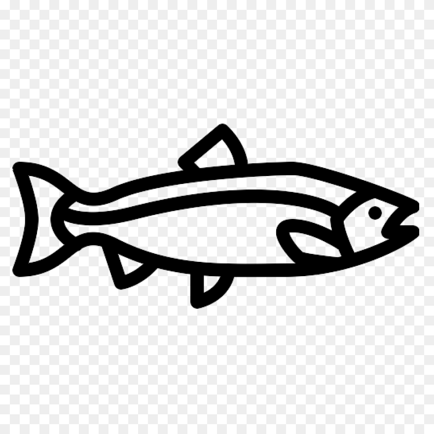 H & N Group | Wholesale Seafood
