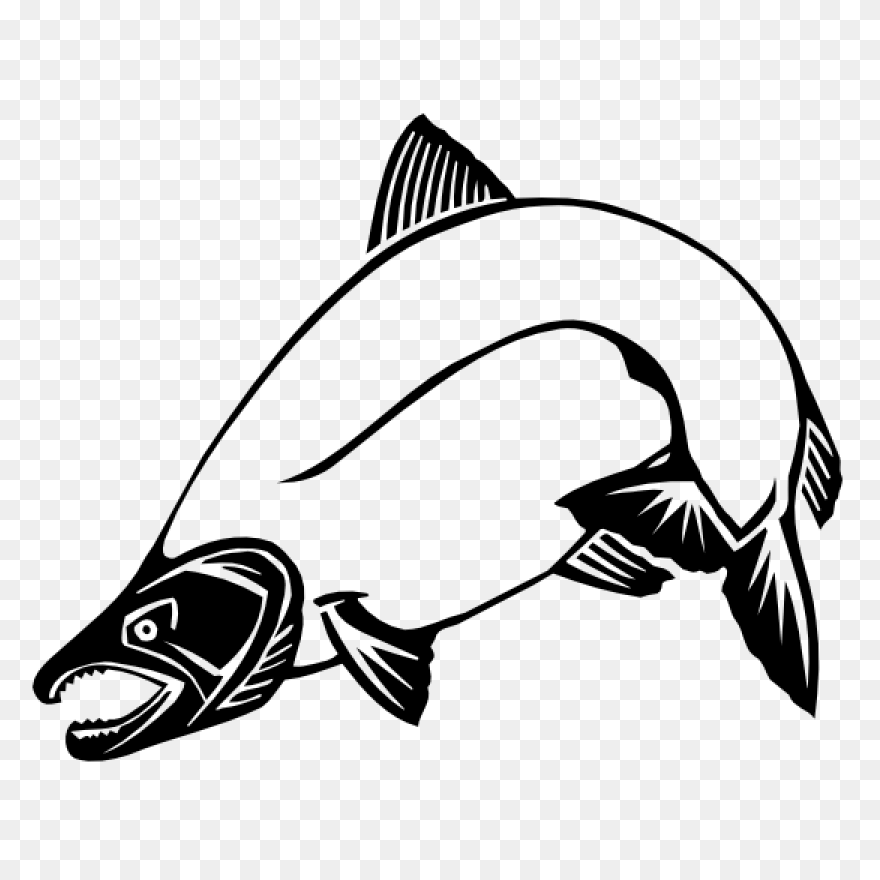 H & N Group | Wholesale Seafood