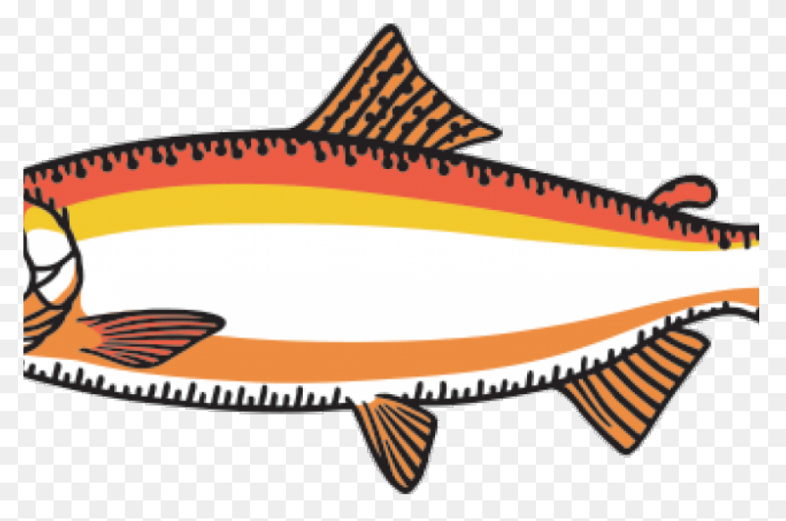 H & N Group | Wholesale Seafood
