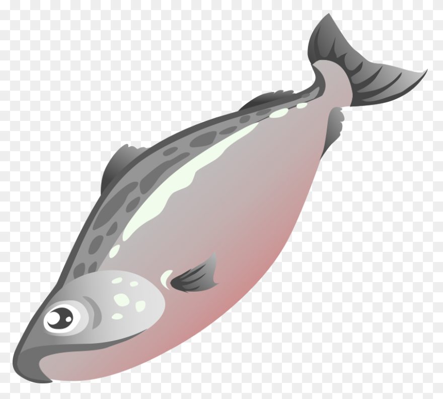 H & N Group | Wholesale Seafood