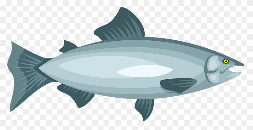 H & N Group | Wholesale Seafood