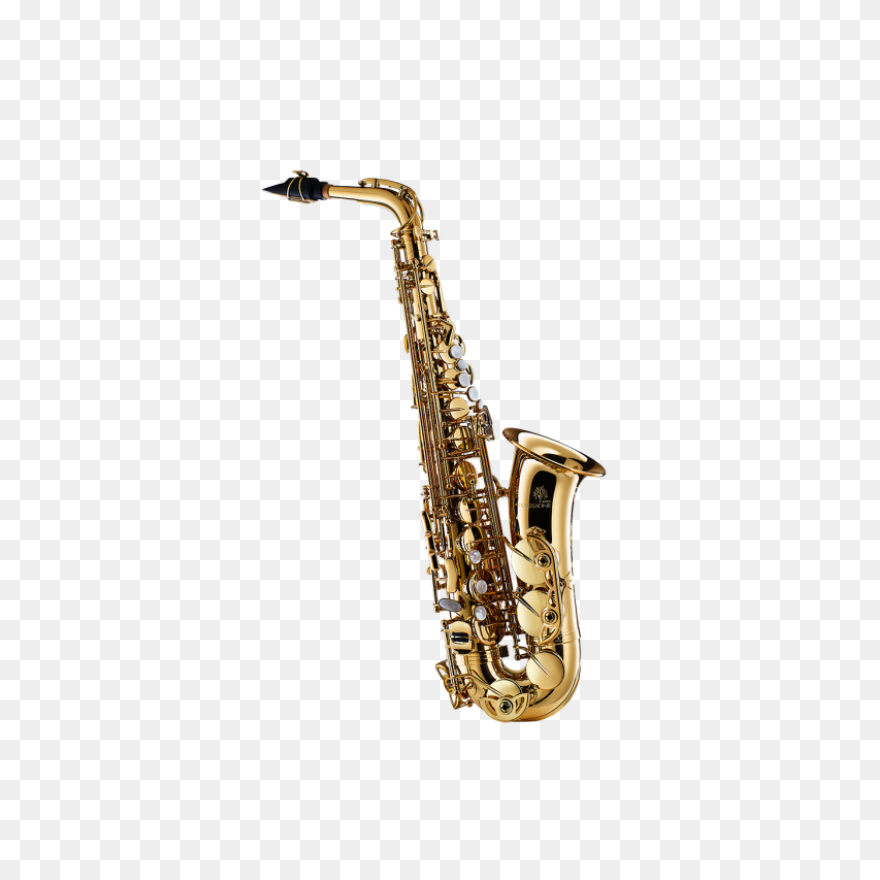 Alto Saxophone Forestone Gx Finishing - Saxophone