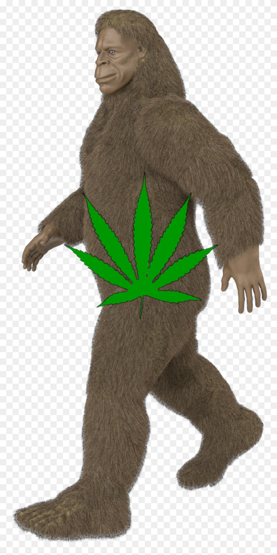 Evidence For Bigfoot: Bigfoot News,