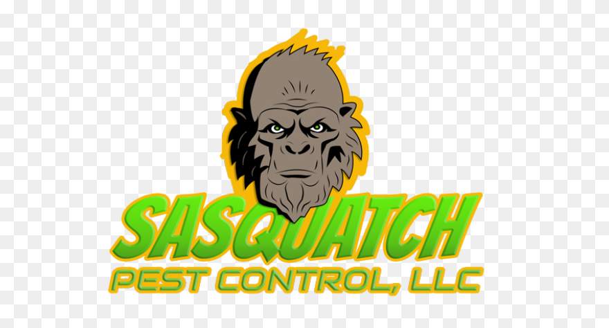 Evidence For Bigfoot: Bigfoot News,