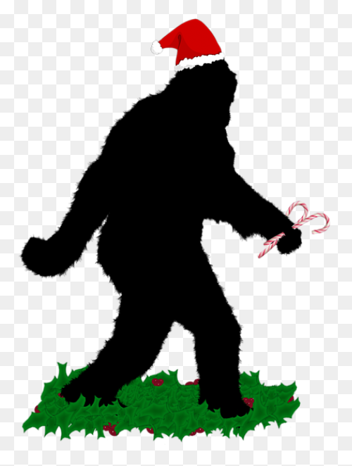 Evidence For Bigfoot: Bigfoot News,