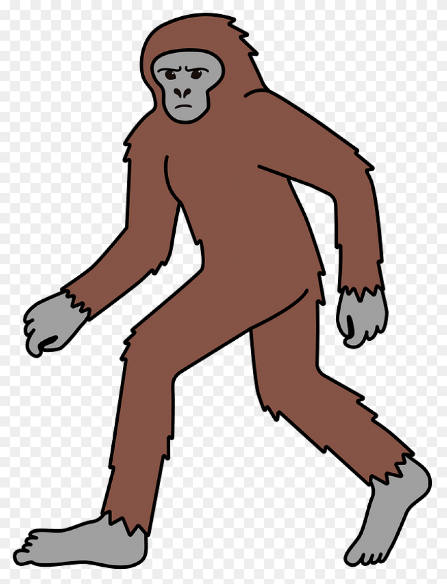Evidence For Bigfoot: Bigfoot News,