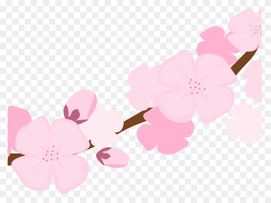 Download Hd Blossom Clipart Sakura - Sakura