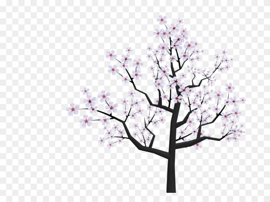 Sakura Png Alpha Channel Clipart Im