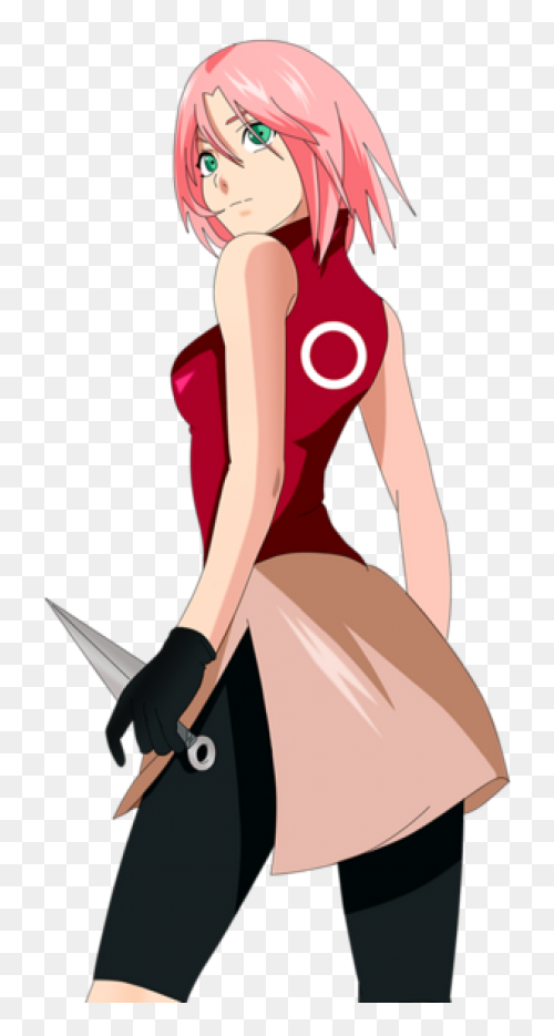 Sakura Png Alpha Channel Clipart Im