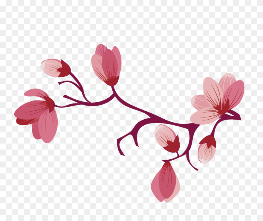 Sakura Png Alpha Channel Clipart Im