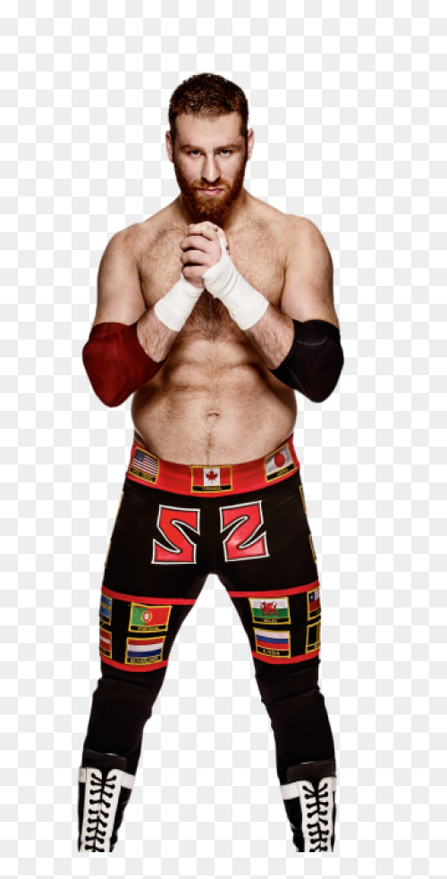 25  Wwe Brock Lesnar Png  - Kemprot