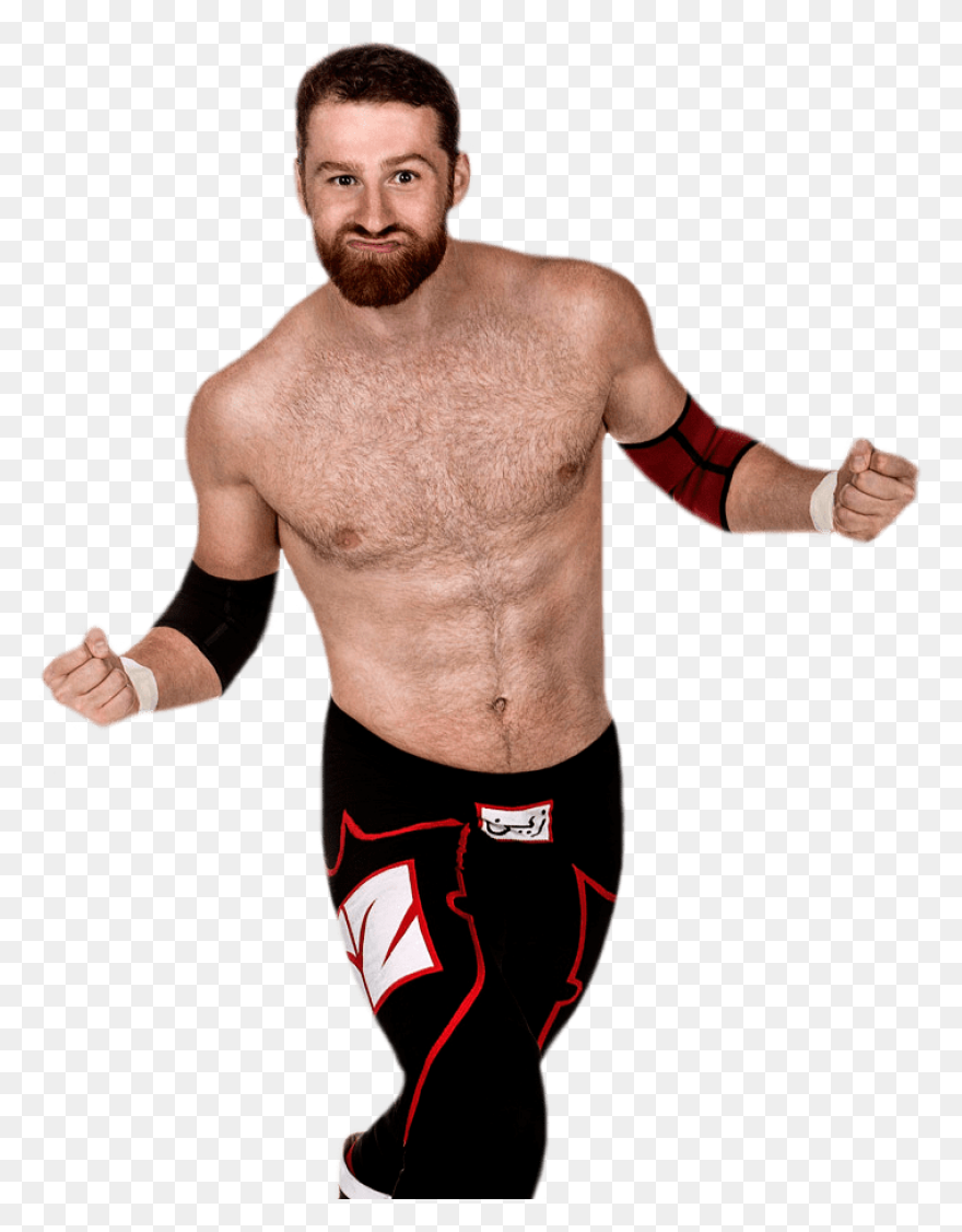 25  Wwe Brock Lesnar Png  - Kemprot