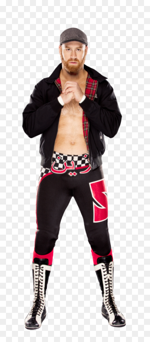 25  Wwe Brock Lesnar Png  - Kemprot