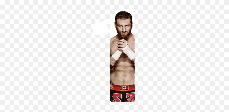 25  Wwe Brock Lesnar Png  - Kemprot