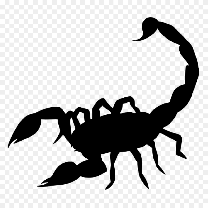 Simple Scorpion Sticker - Scorpion