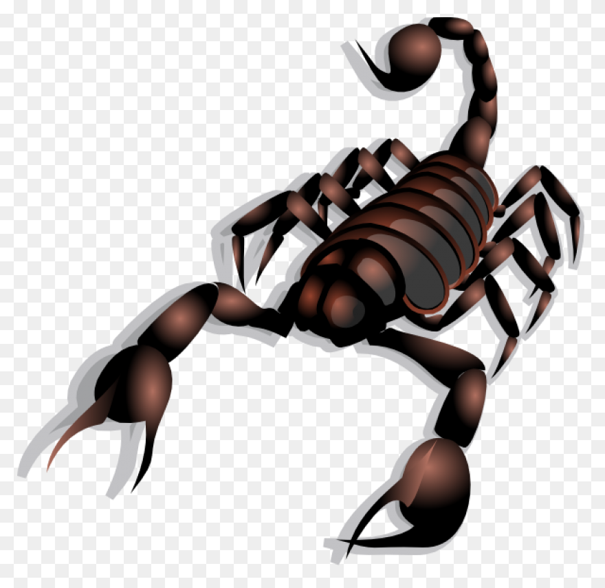 Simple Scorpion Sticker