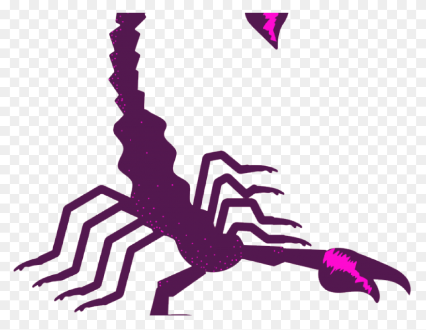 Non-Binary Witch Hacking The Patria