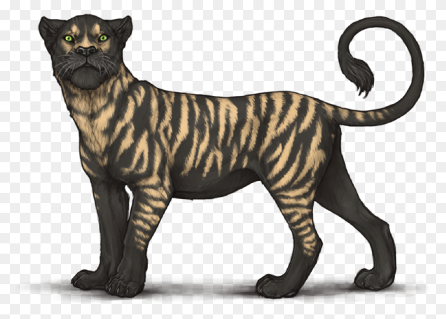 Download Hyena Stripes Scarce Dark - Scarce