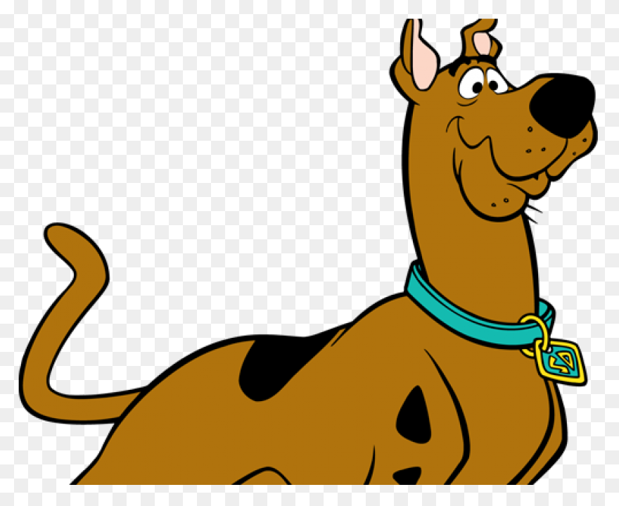 8 Signs Your Dog Is - Scooby Doo