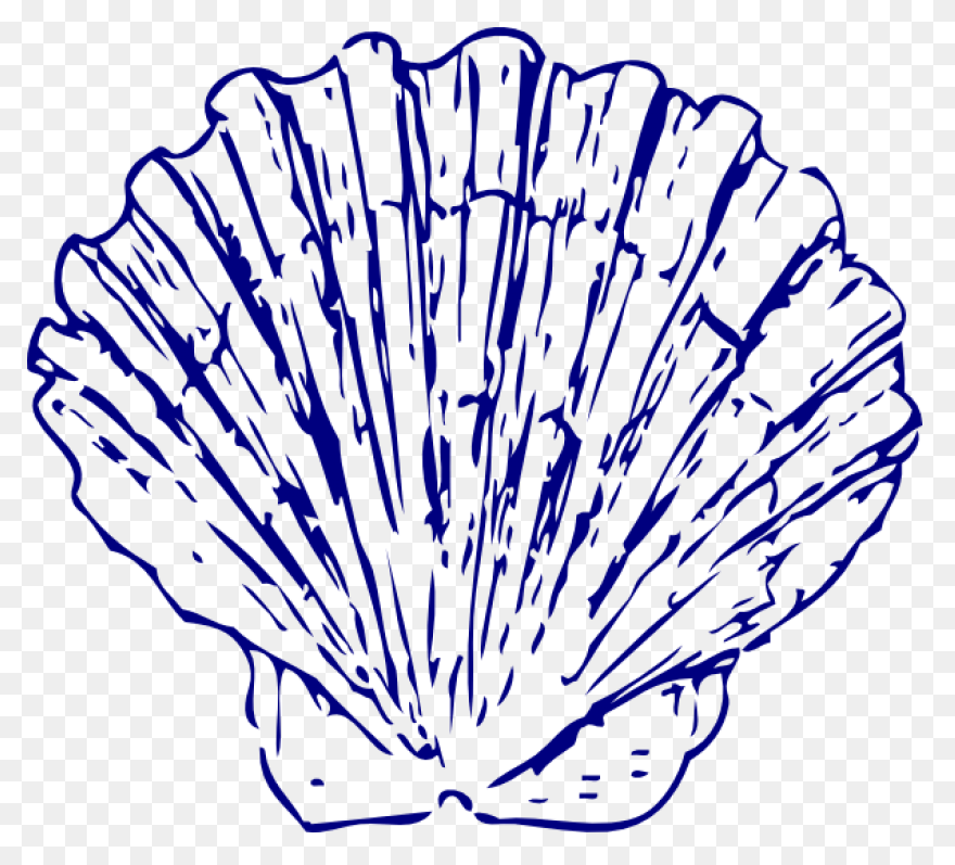 Purple Seashell Clipart - ClipartFl