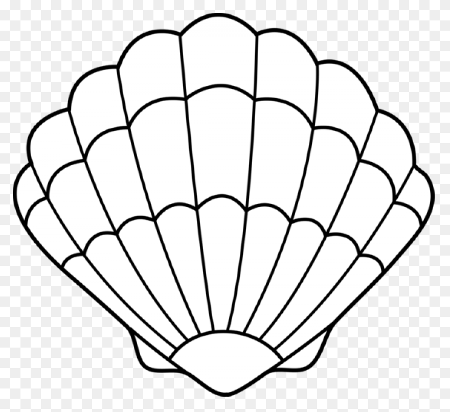 Purple Seashell Clipart - ClipartFl