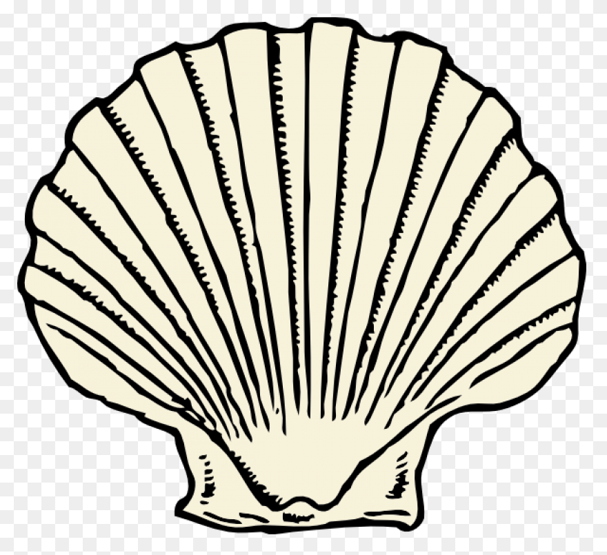 Purple Seashell Clipart - ClipartFl