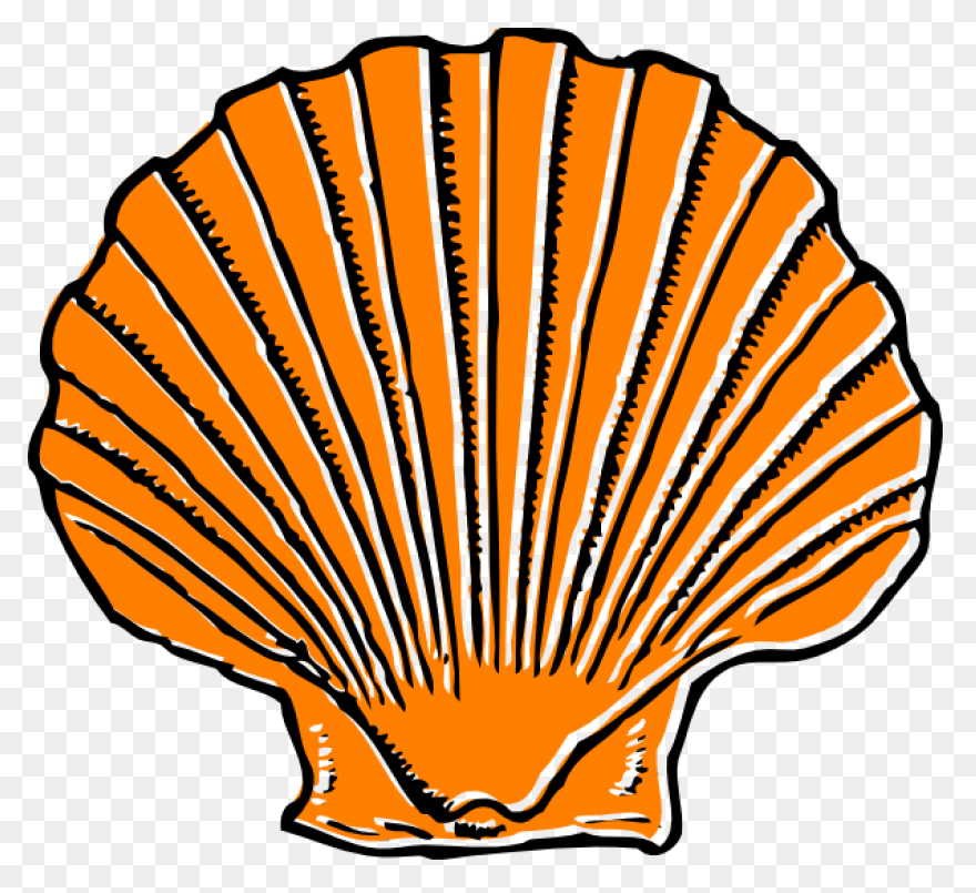 Purple Seashell Clipart - ClipartFl