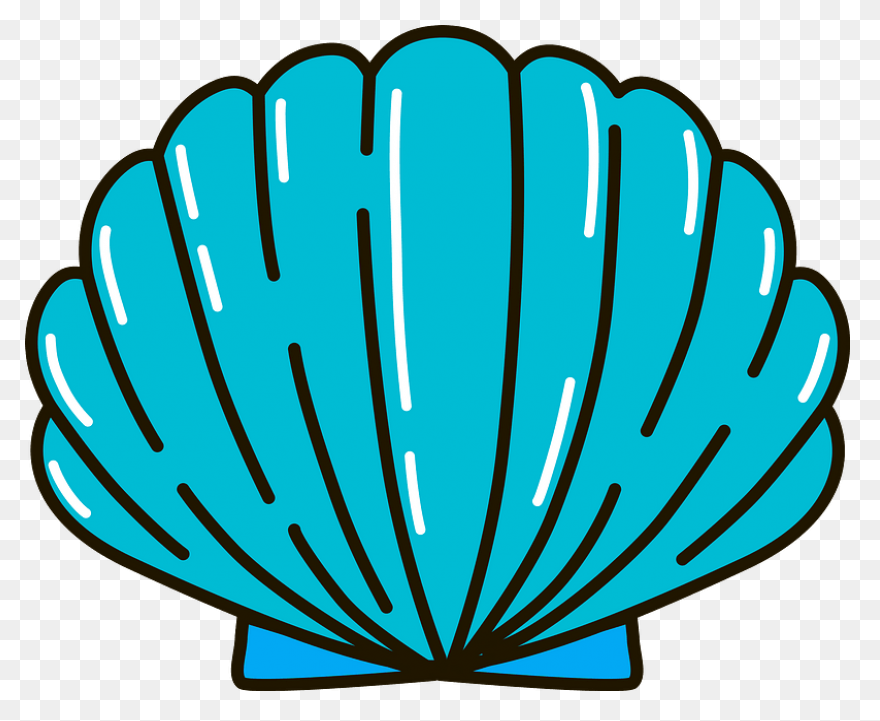 Purple Seashell Clipart - ClipartFl