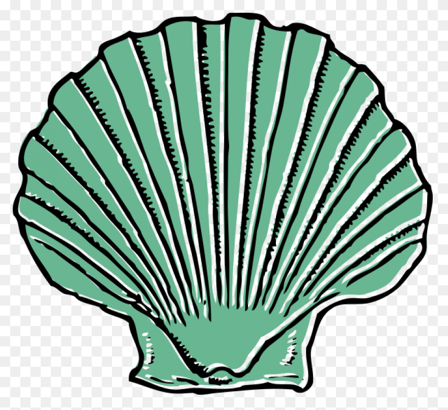 Purple Seashell Clipart - ClipartFl