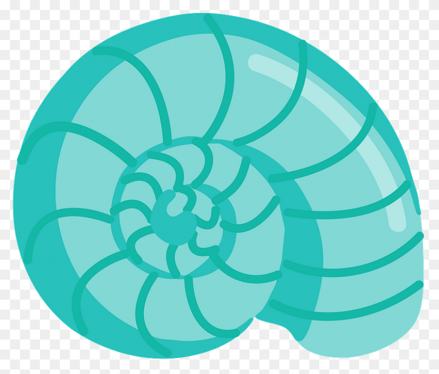 Purple Seashell Clipart - ClipartFl