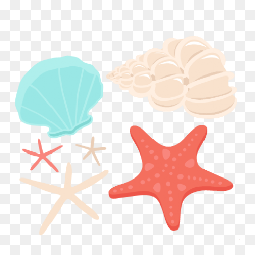 Purple Seashell Clipart - ClipartFl