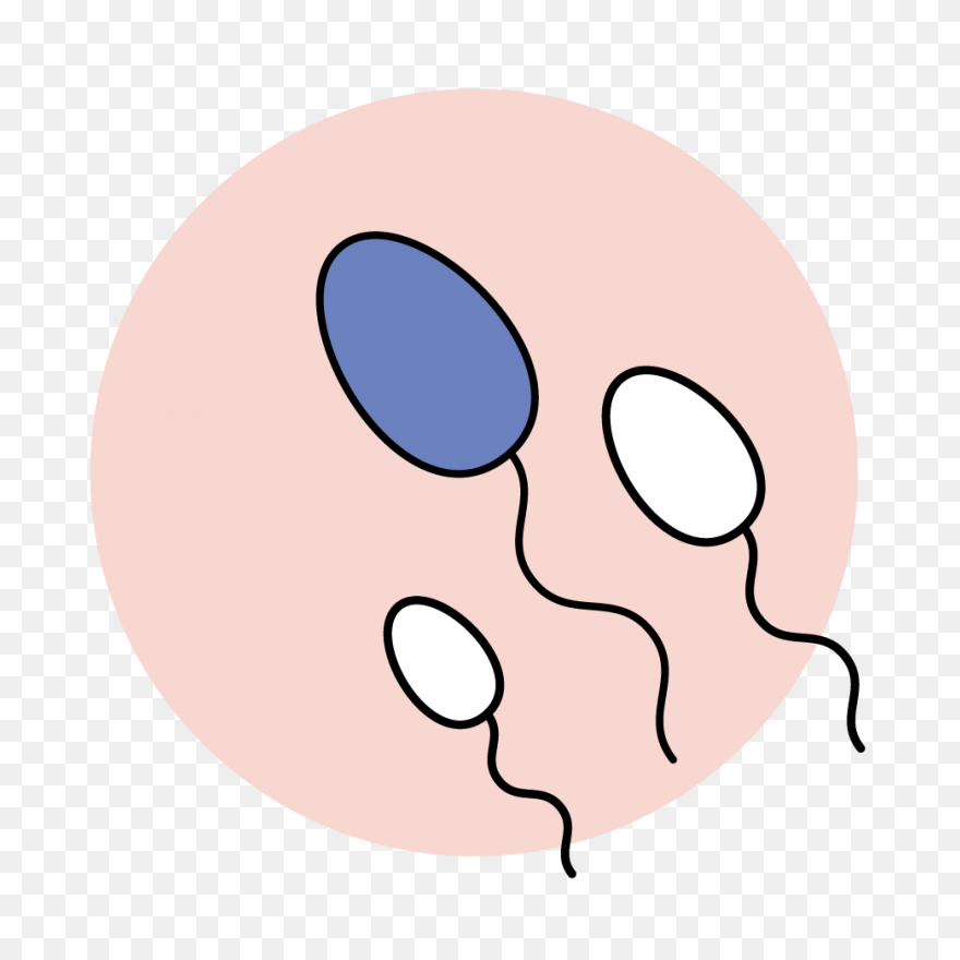 ClipartFlare - Semen Analysis