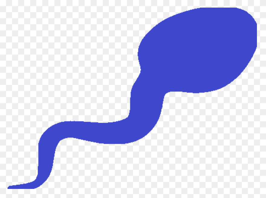 ClipartFlare - Semen Analysis
