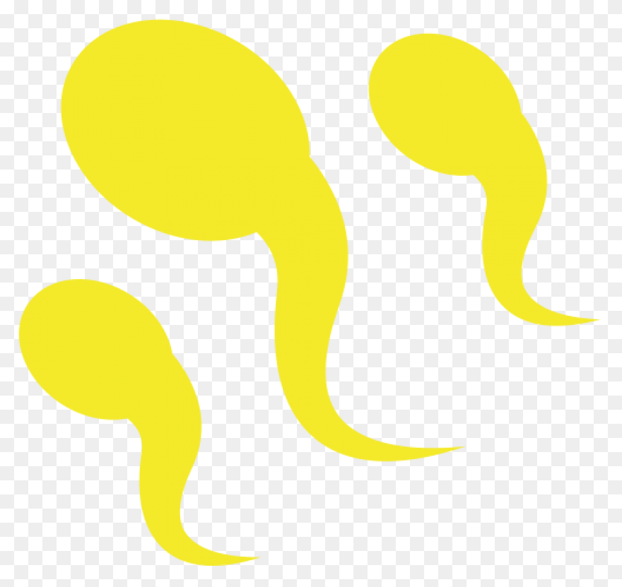 ClipartFlare - Semen Analysis