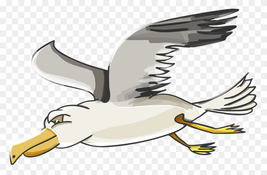 Flying Seagull Clipart. Free Downlo