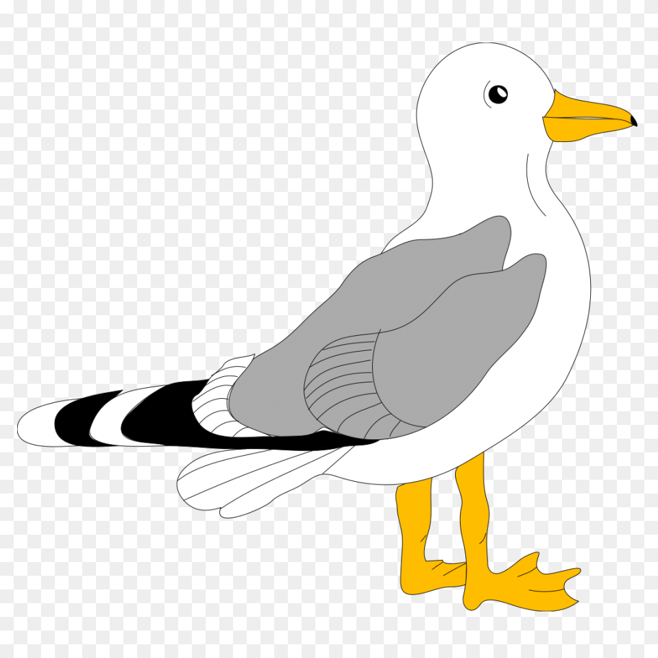 Flying Seagull Clipart. Free Downlo
