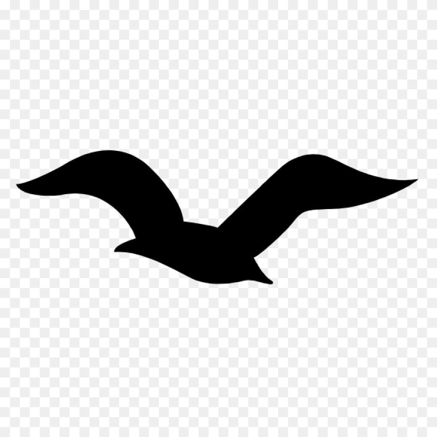 Flying Seagull Clipart. Free Downlo