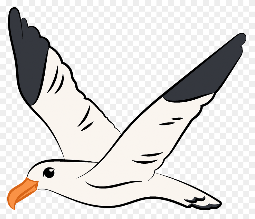 Flying Seagull Clipart. Free Downlo