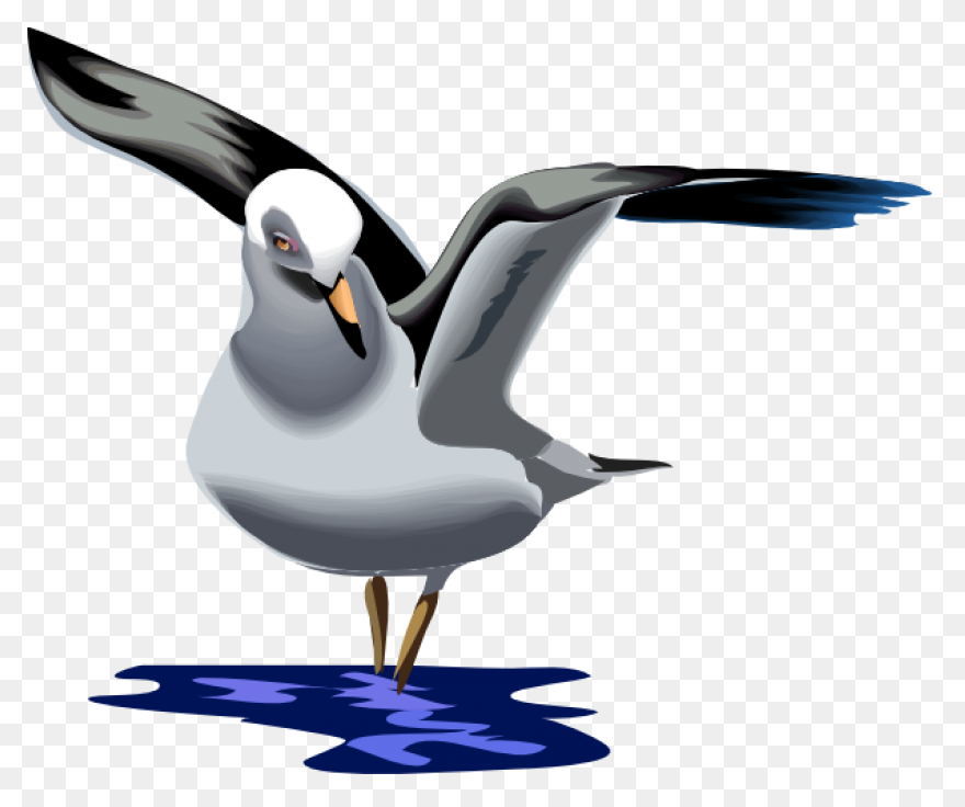 Flying Seagull Clipart. Free Downlo