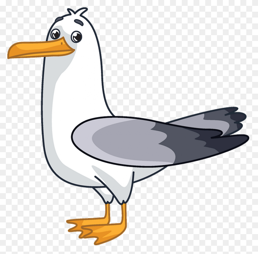 Flying Seagull Clipart. Free Downlo