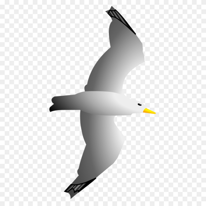 Seagull Remix By Merlin2525 | - Seagull