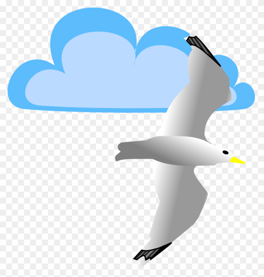 Flying Seagull Clipart. Free Downlo