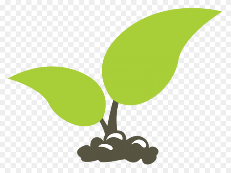 Seedling Seed Growth - Free Vector 