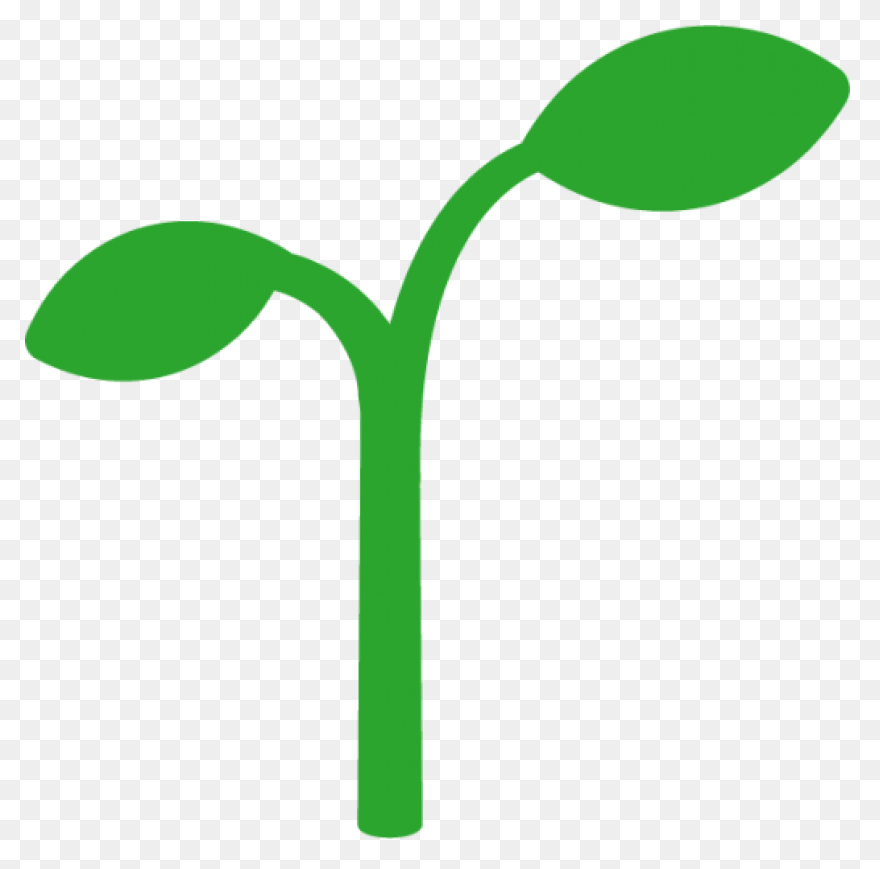 Seedling Seed Growth - Free Vector 