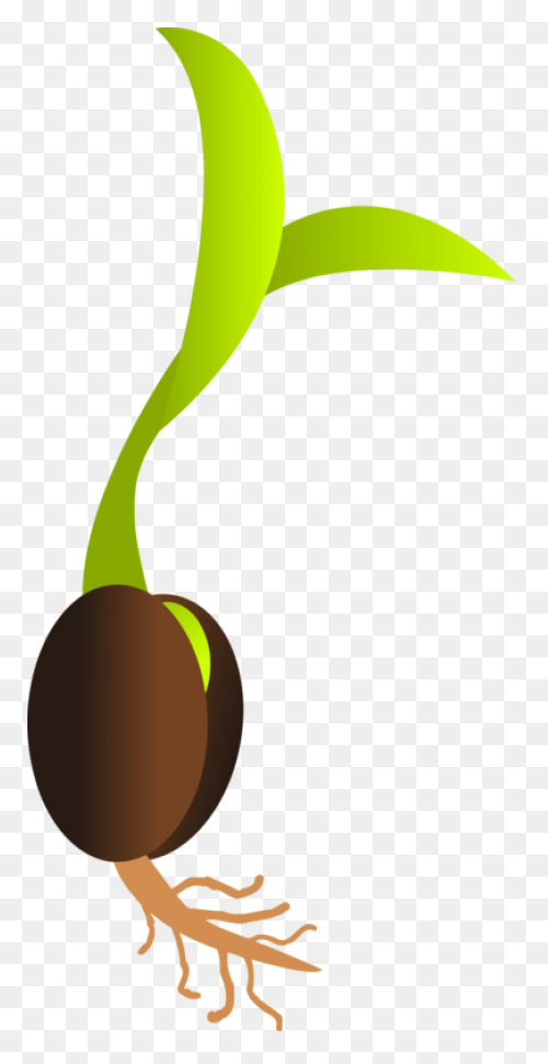 Seedling Seed Growth - Free Vector 