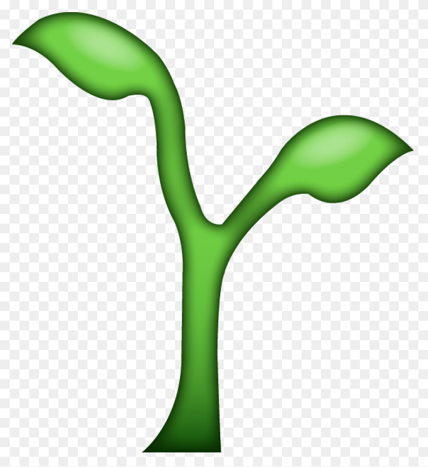 Seedling Seed Growth - Free Vector 