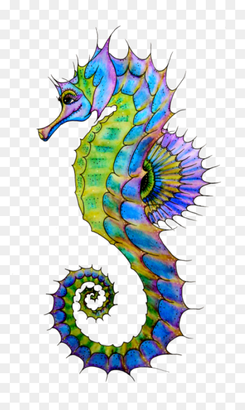 Seahorse Clip Art - Seahorse Png Tr