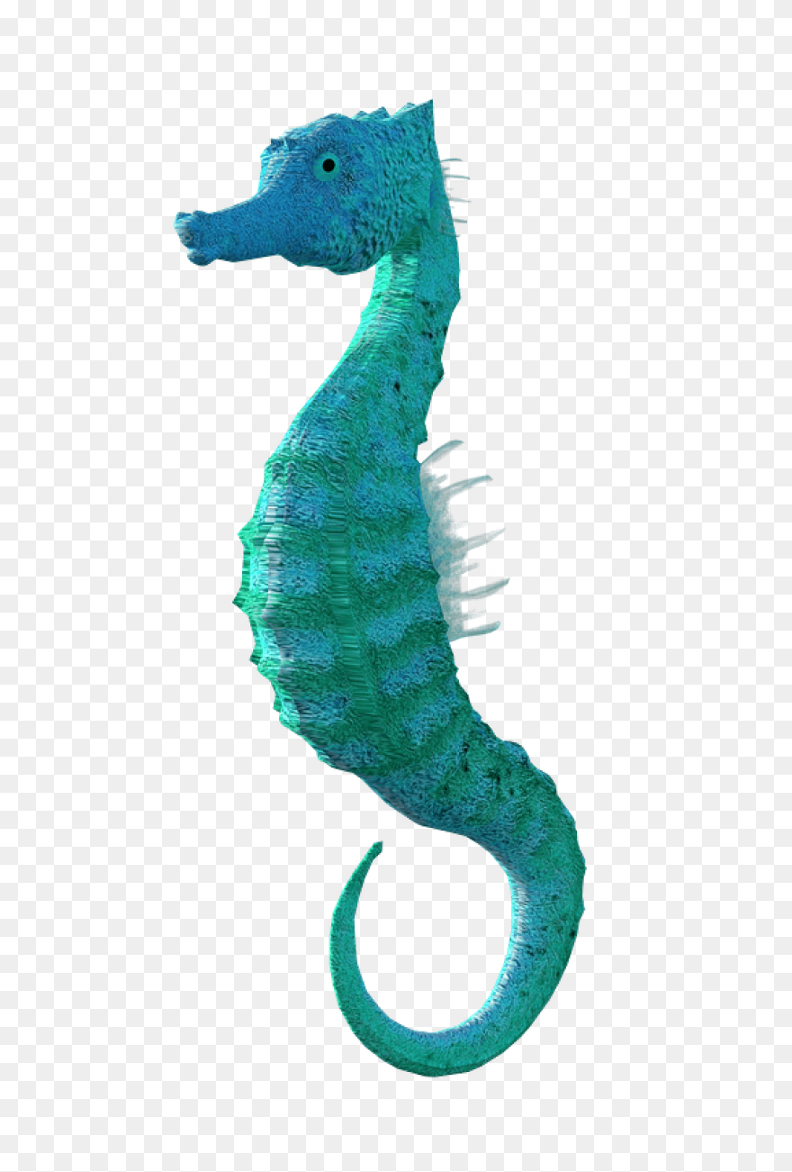 Seahorse Clip Art - Seahorse Png Tr